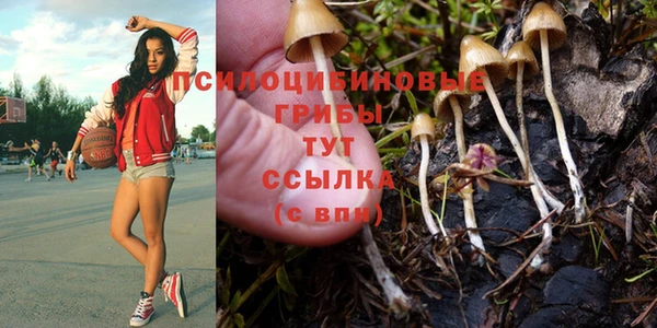 амф Заволжье