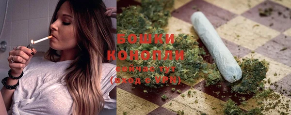 амф Заволжье