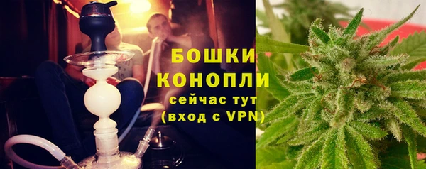 амф Заволжье