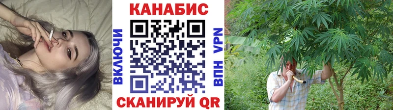 купить наркотик  Карабаново  Бошки Шишки SATIVA & INDICA 